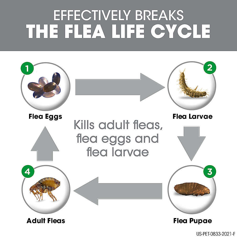 Frontline Plus Flea and Tick Treatment for Cats and Kittens