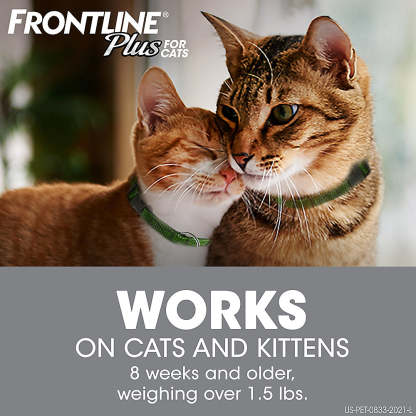 Frontline Plus Flea and Tick Treatment for Cats and Kittens