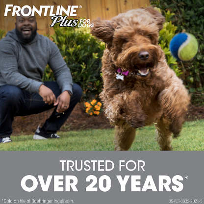FRONTLINE® Plus for Dogs Flea and Tick Treatment