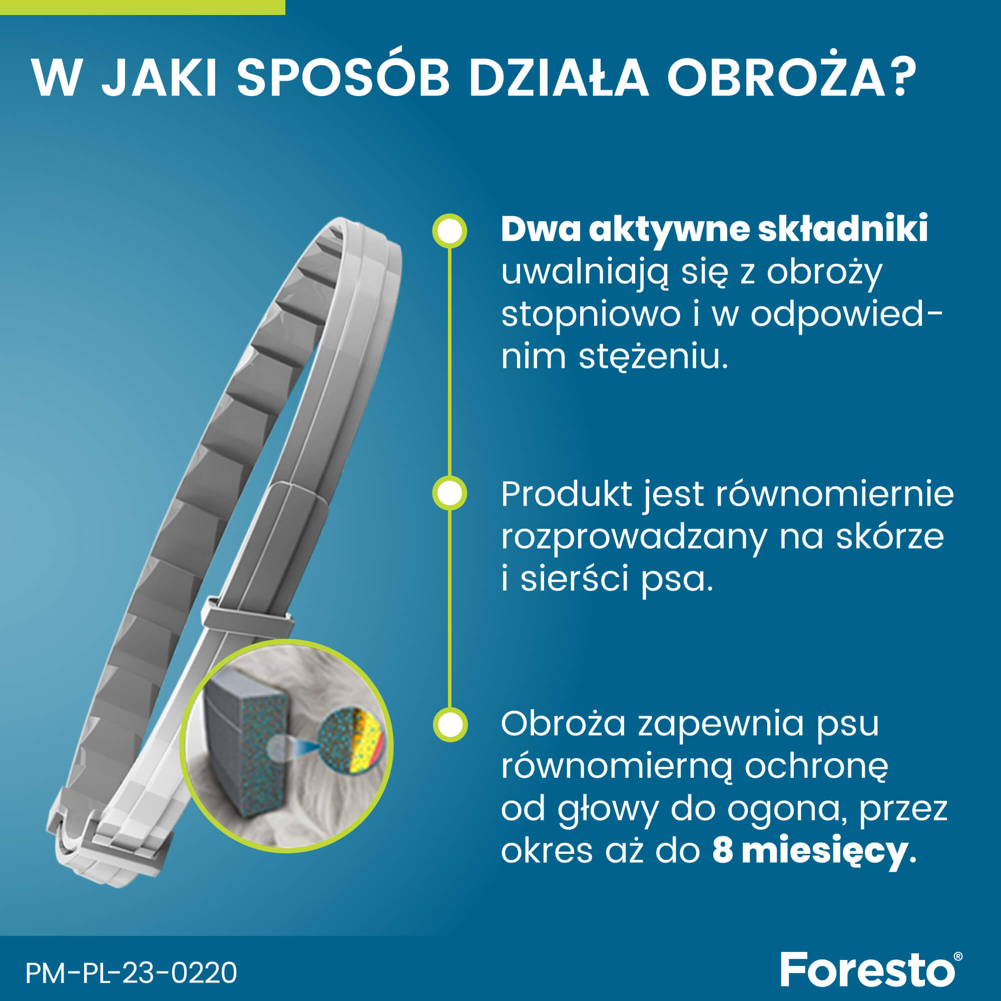 Obroża FORESTO dla psa przeciw kleszczom i pchłom powyżej 8 kg