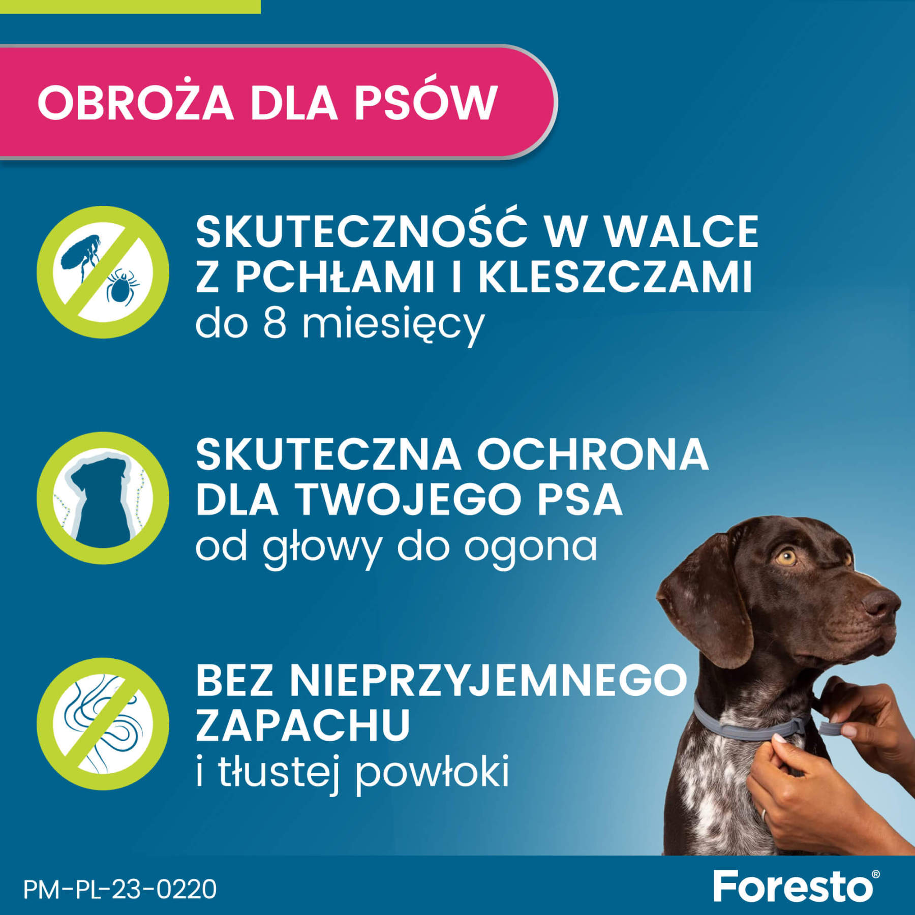 Obroża FORESTO dla psa przeciw kleszczom i pchłom powyżej 8 kg