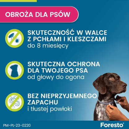 Obroża FORESTO dla psa przeciw kleszczom i pchłom powyżej 8 kg