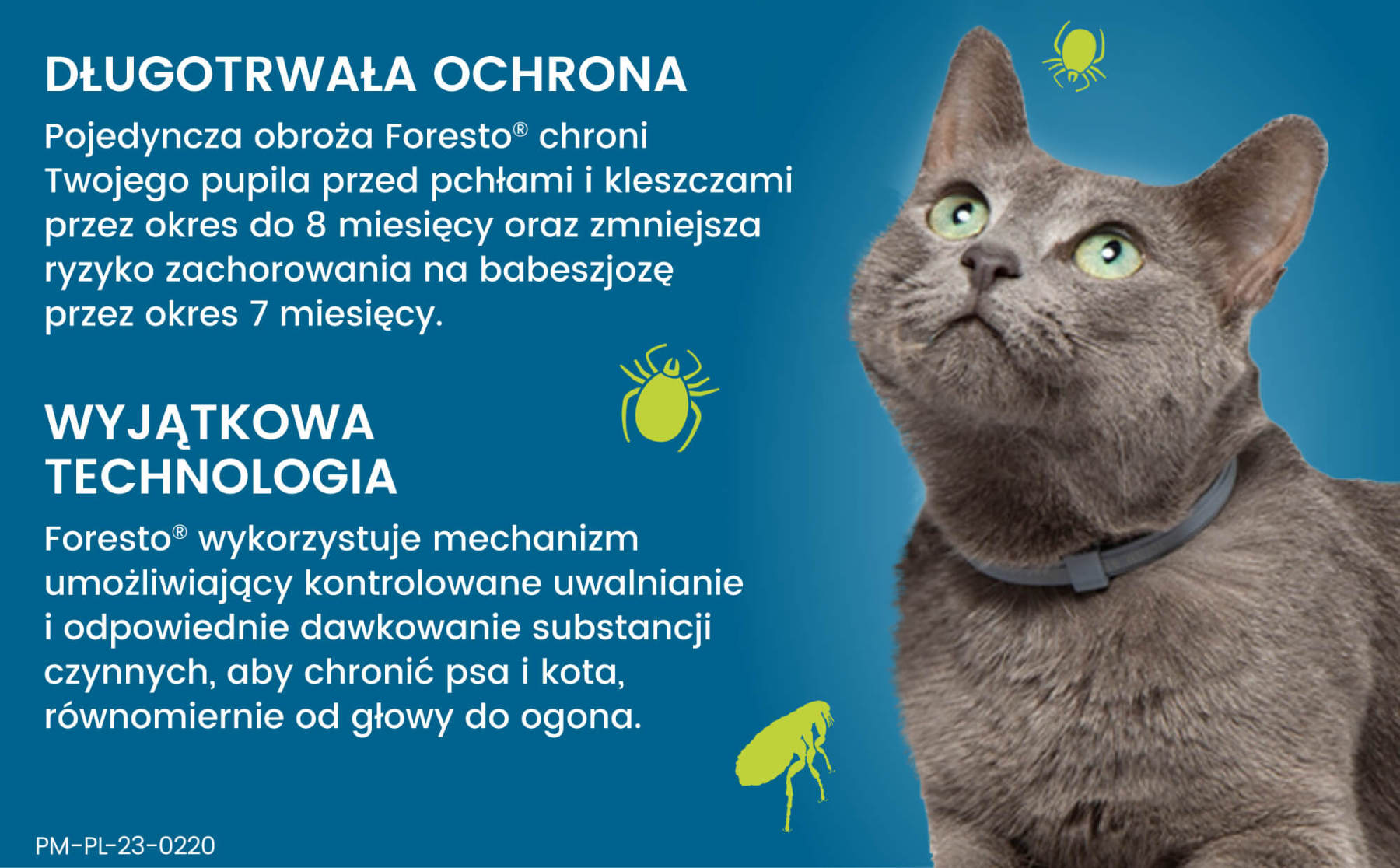 Obroża FORESTO dla kota i psa przeciw kleszczom i pchłom poniżej 8 kg