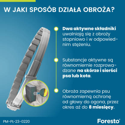Obroża FORESTO dla kota i psa przeciw kleszczom i pchłom poniżej 8 kg