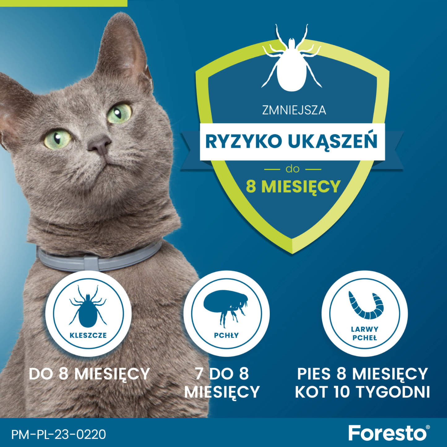 Obroża FORESTO dla kota i psa przeciw kleszczom i pchłom poniżej 8 kg