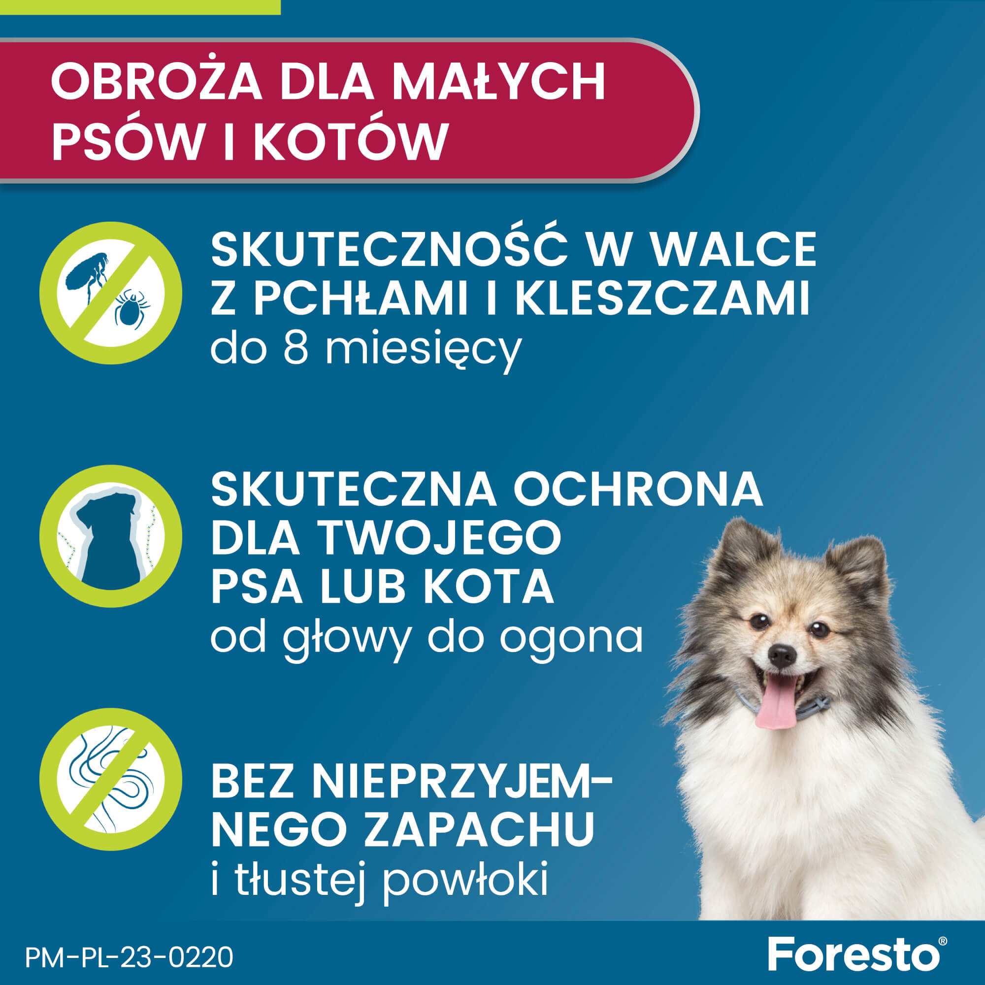 Obroża FORESTO dla kota i psa przeciw kleszczom i pchłom poniżej 8 kg