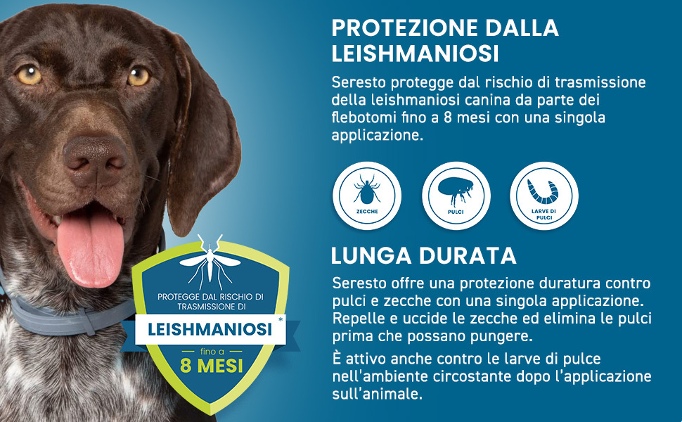 SerestoCollare  Antiparassitario per Cani | 8 Mesi di Protezione