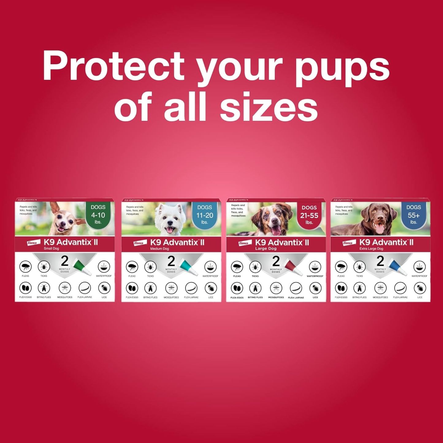 K9 Advantix II  Vet-Recommended Flea, Tick & Mosquito Treatment & Prevention for Dogs | 6-Mo Supply-Chicfuzzy