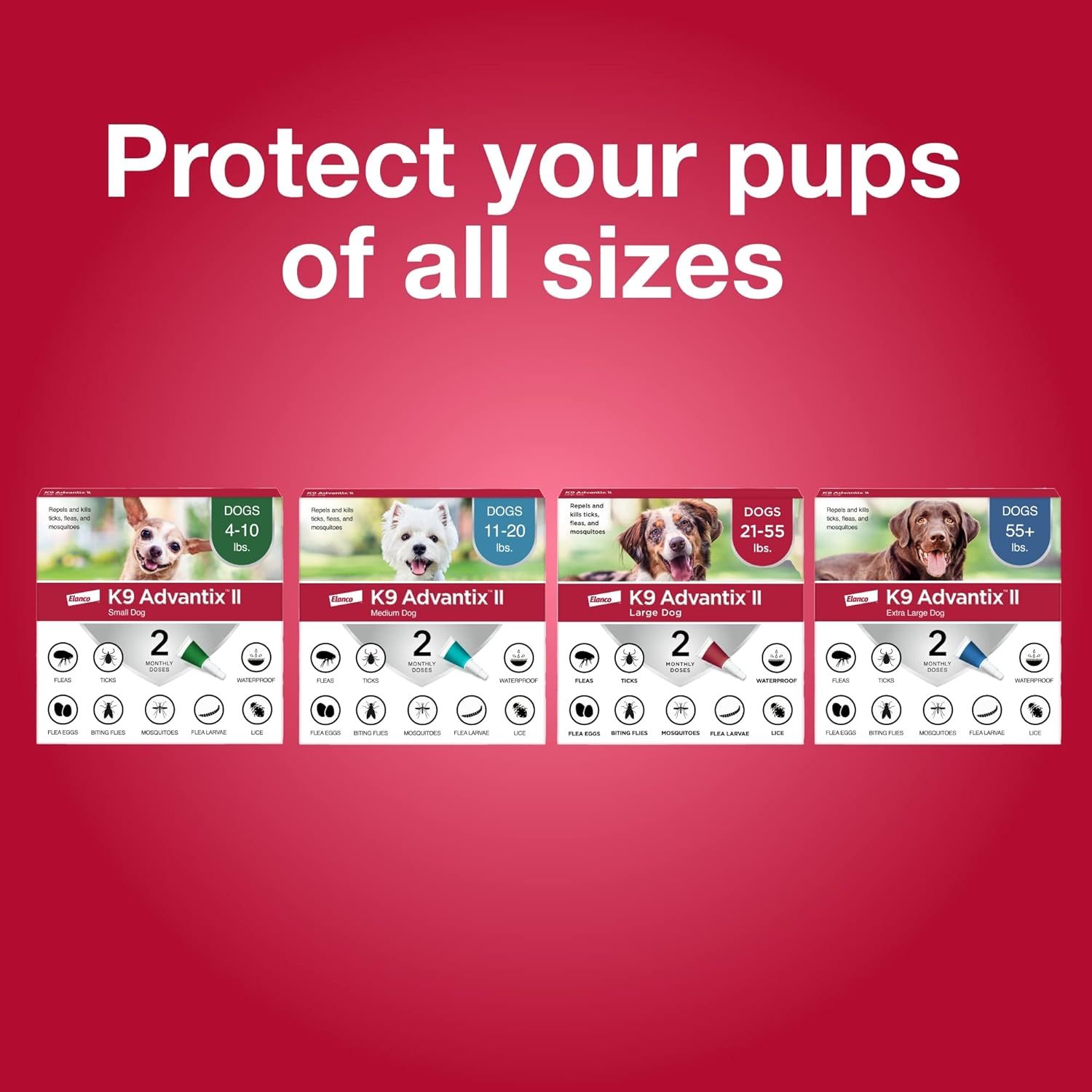 K9 Advantix II  Vet-Recommended Flea, Tick & Mosquito Treatment & Prevention for Dogs | 6-Mo Supply-Chicfuzzy