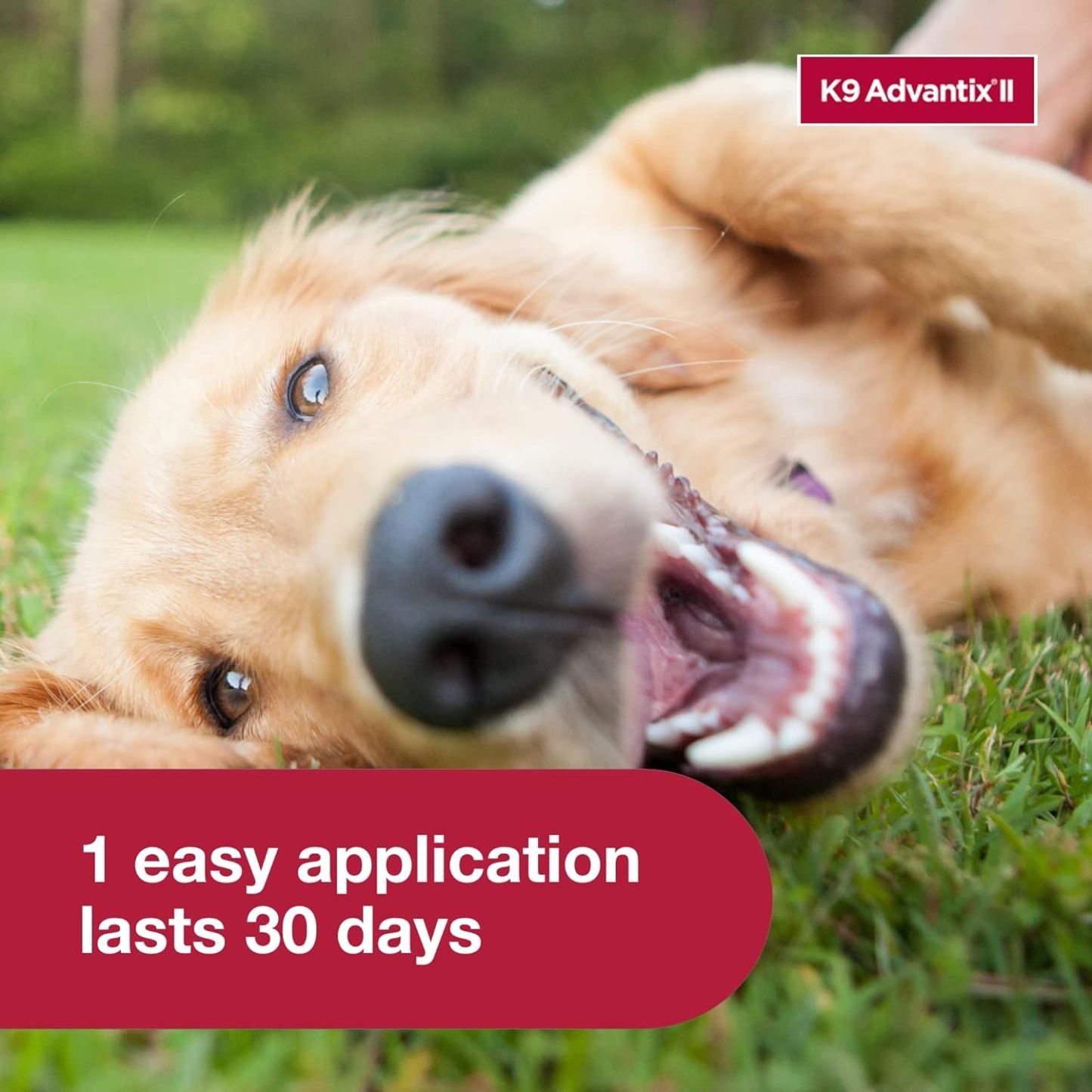 K9 Advantix II  Vet-Recommended Flea, Tick & Mosquito Treatment & Prevention for Dogs | 6-Mo Supply-Chicfuzzy