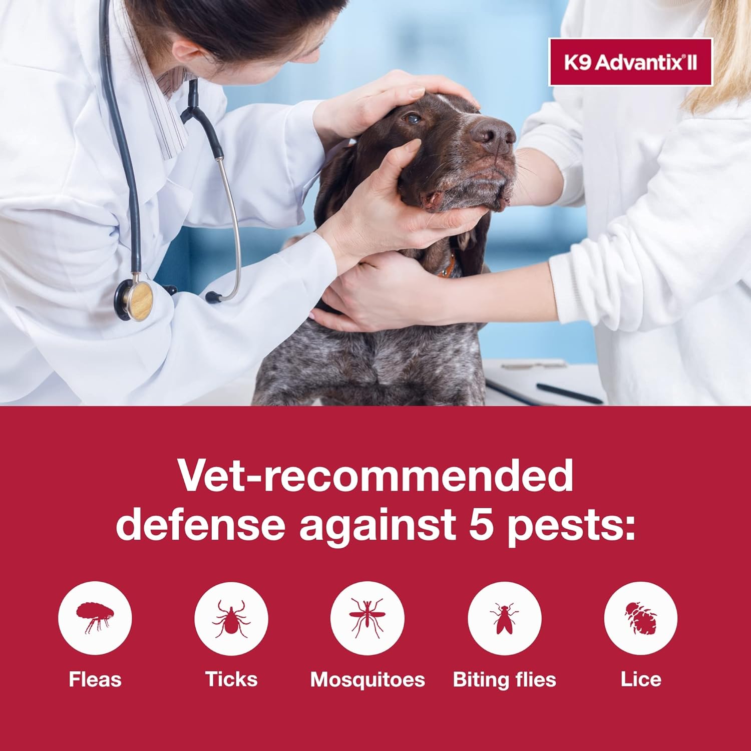 K9 Advantix II  Vet-Recommended Flea, Tick & Mosquito Treatment & Prevention for Dogs | 6-Mo Supply-Chicfuzzy