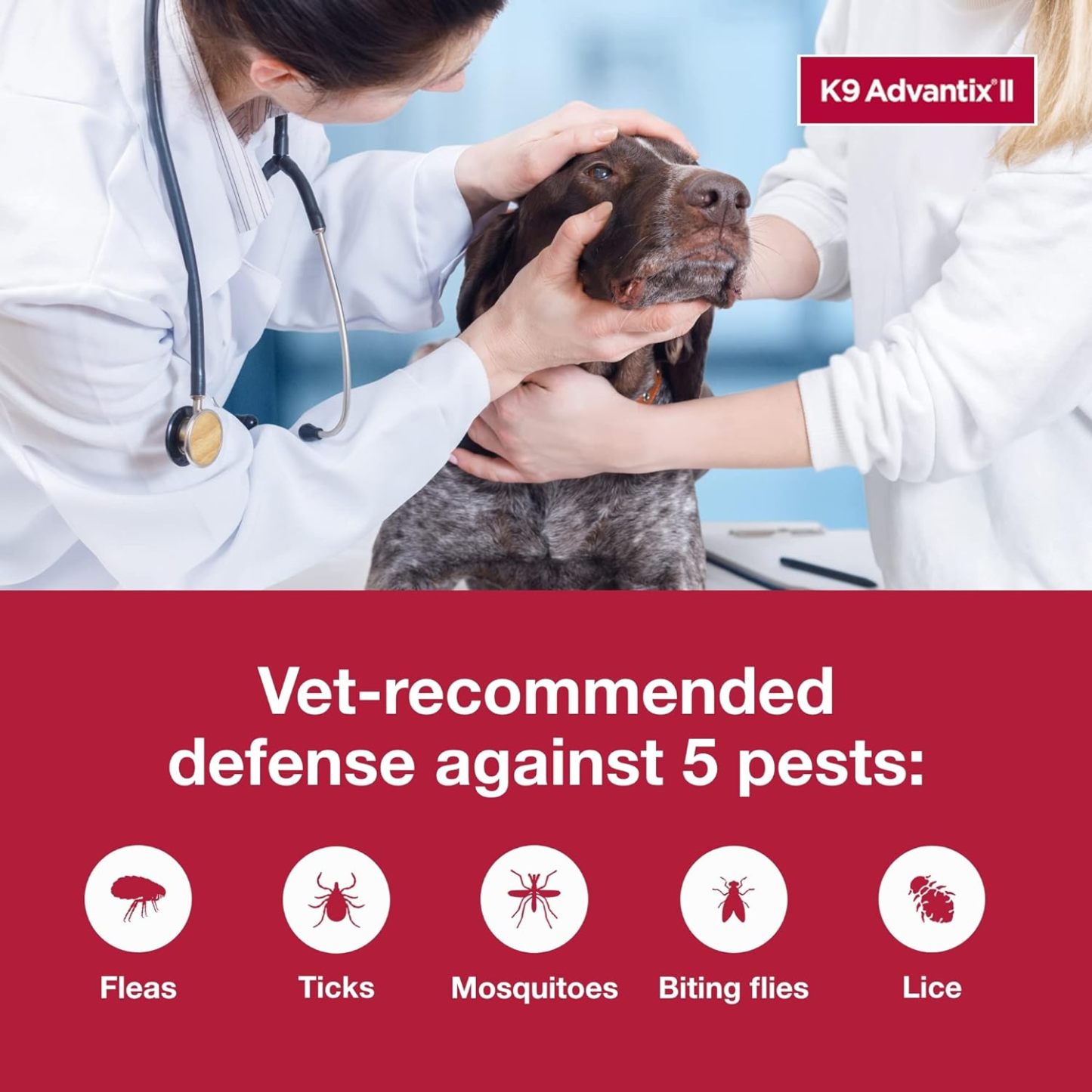 K9 Advantix II  Vet-Recommended Flea, Tick & Mosquito Treatment & Prevention for Dogs | 6-Mo Supply-Chicfuzzy