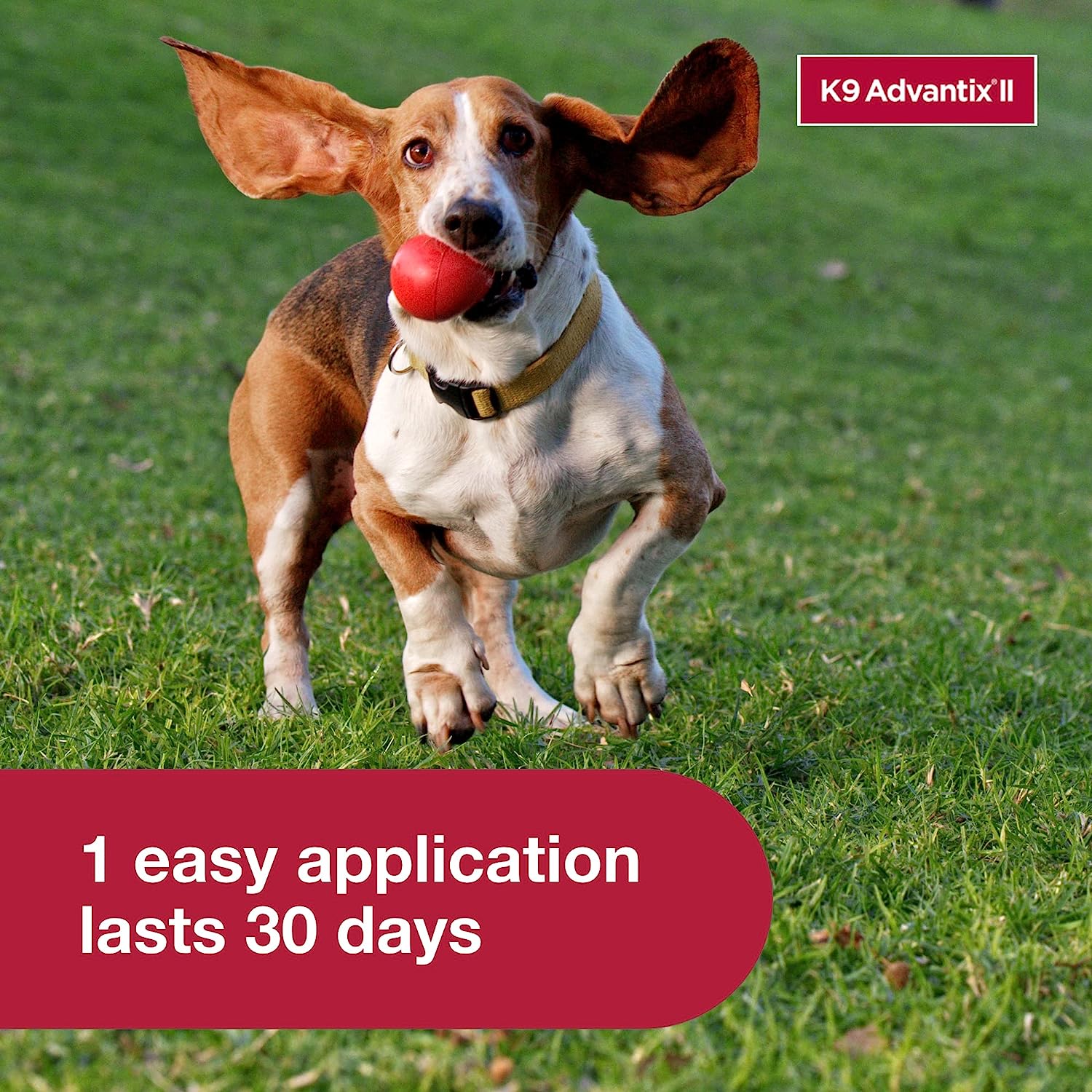 K9 Advantix II  Vet-Recommended Flea, Tick & Mosquito Treatment & Prevention for Dogs | 6-Mo Supply-Chicfuzzy