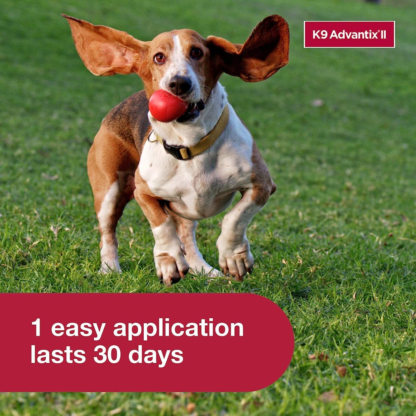 K9 Advantix II  Vet-Recommended Flea, Tick & Mosquito Treatment & Prevention for Dogs | 6-Mo Supply-Chicfuzzy