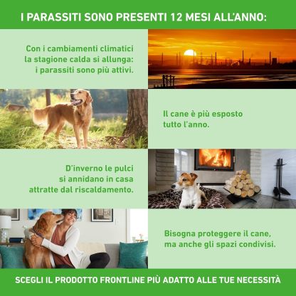 FRONTLINE® Combo Spot-On Antiparassitario per Cani e Cuccioli 2-40 kg
