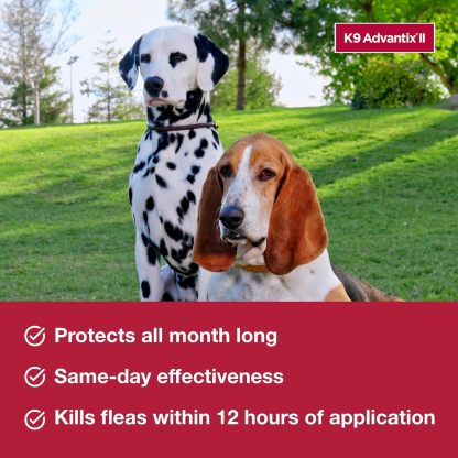 K9 Advantix II  Vet-Recommended Flea, Tick & Mosquito Treatment & Prevention for Dogs | 6-Mo Supply-Chicfuzzy