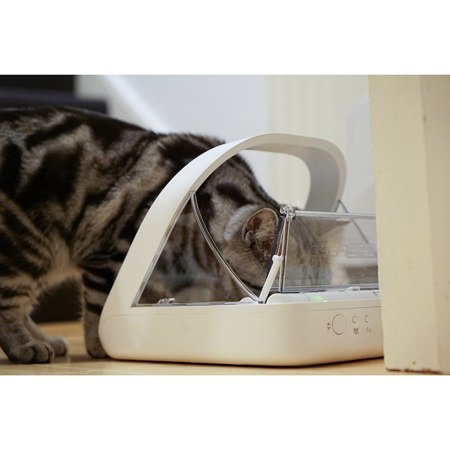 SureFlap SureFeed Microchip Cat & Small Dog Feeder White