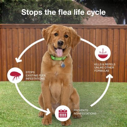 K9 Advantix II  Vet-Recommended Flea, Tick & Mosquito Treatment & Prevention for Dogs | 6-Mo Supply-Chicfuzzy