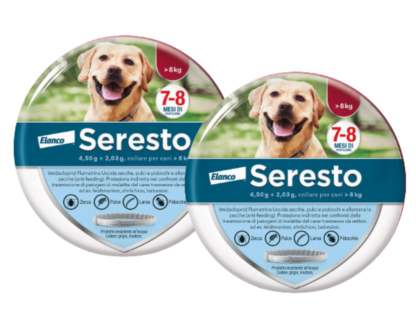 Bayer Elanco Collare Antiparassitario per Cani | 8 Mesi di Protezione