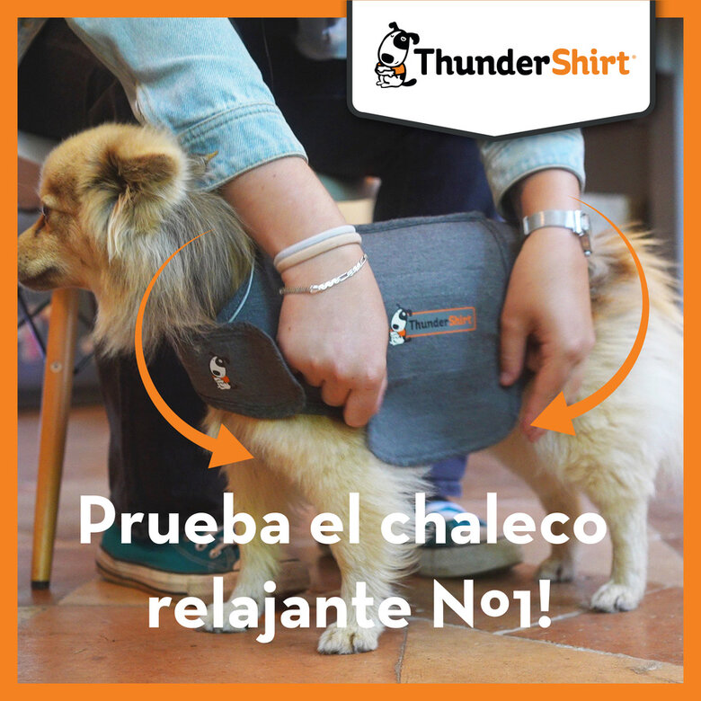 Thundershirt Camiseta Antiestrés Relajante para perros