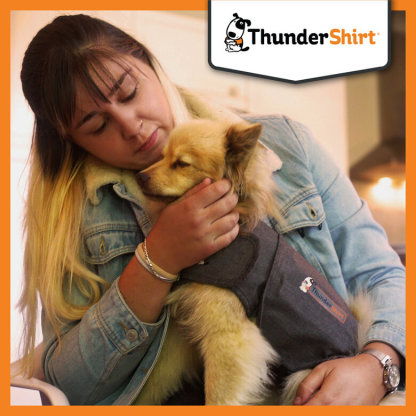 Thundershirt Camiseta Antiestrés Relajante para perros