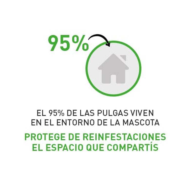 Frontline®Combo Pipetas Spot-On para Gatos