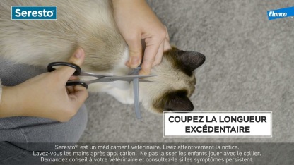 Seresto Colliers  Pour Chats Anti-Puces et Anti-Tiques | Protection de 8 mois