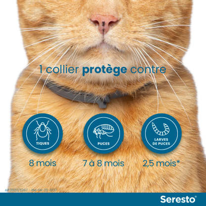 Elanco Bayer Colliers Pour Chats Anti-Puces et Anti-Tiques | Protection de 8 mois
