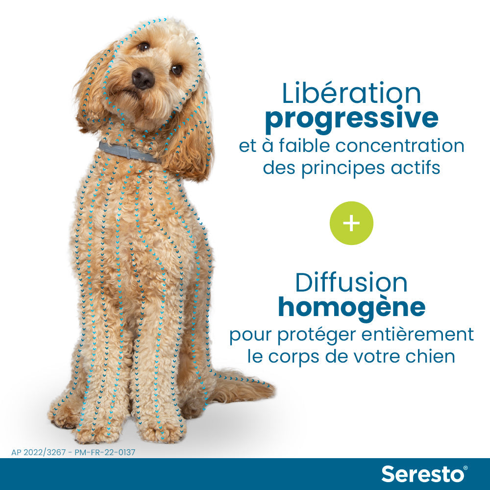 Elanco Bayer Colliers pour Chiens Anti-puce et Anti-tique | Protection de 8 mois