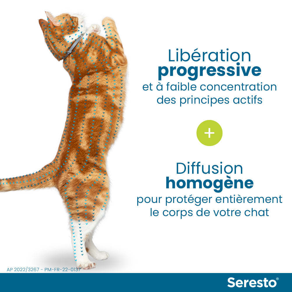 Elanco Bayer Colliers Pour Chats Anti-Puces et Anti-Tiques | Protection de 8 mois