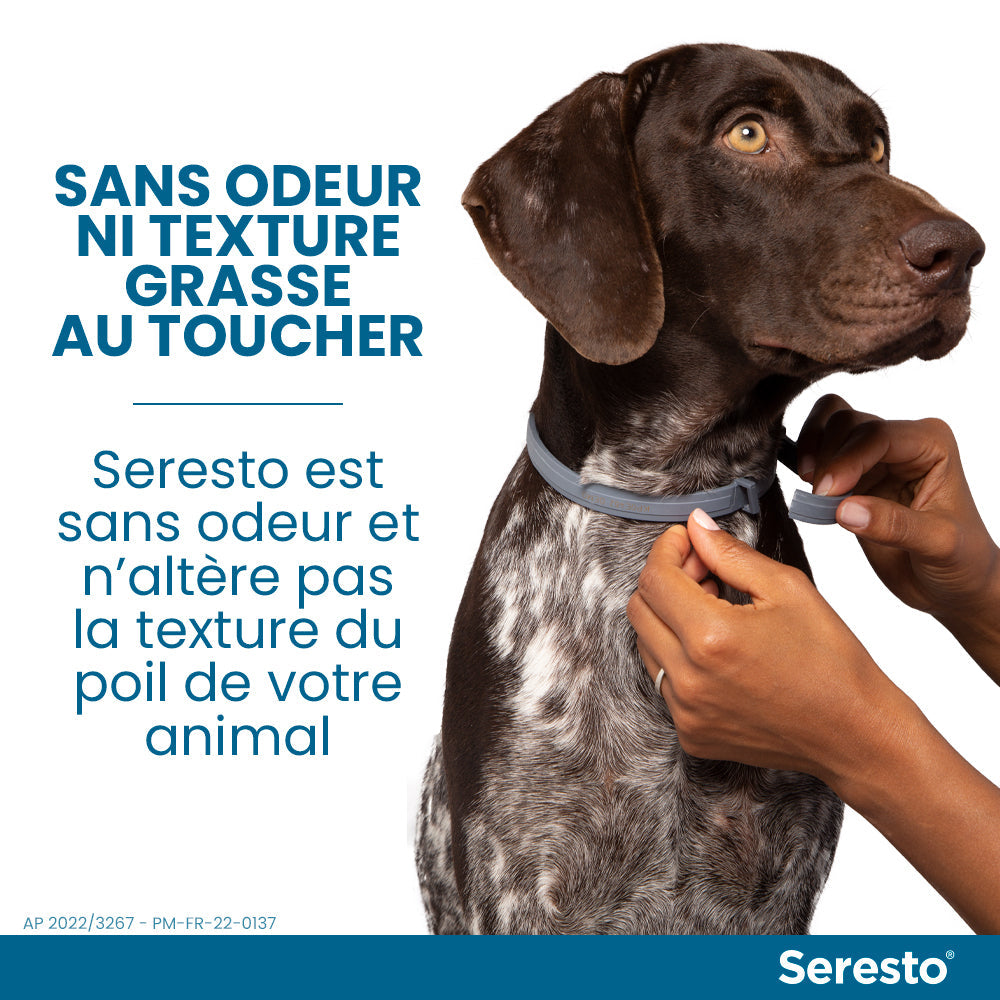 Elanco Bayer Colliers pour Chiens Anti-puce et Anti-tique | Protection de 8 mois