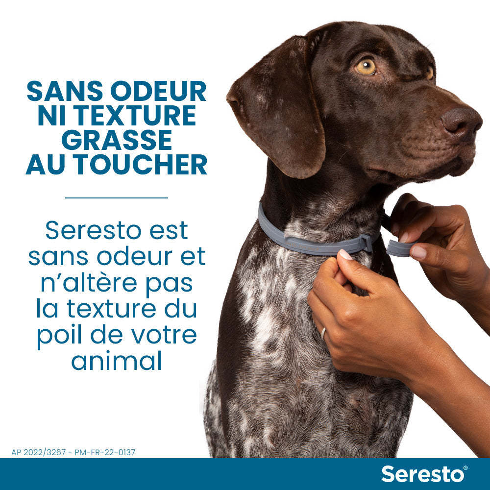 Elanco Bayer Colliers pour Chiens Anti-puce et Anti-tique | Protection de 8 mois