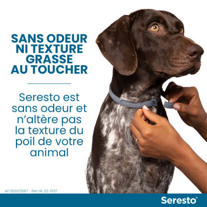 Elanco Bayer Colliers pour Chiens Anti-puce et Anti-tique | Protection de 8 mois