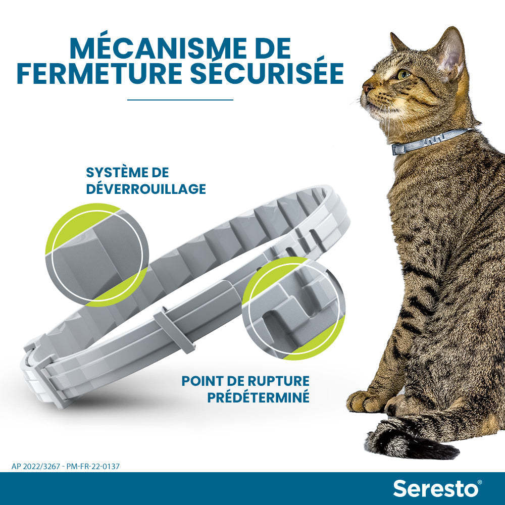 Elanco Bayer Colliers Pour Chats Anti-Puces et Anti-Tiques | Protection de 8 mois