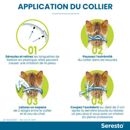 Elanco Bayer Colliers Pour Chats Anti-Puces et Anti-Tiques | Protection de 8 mois