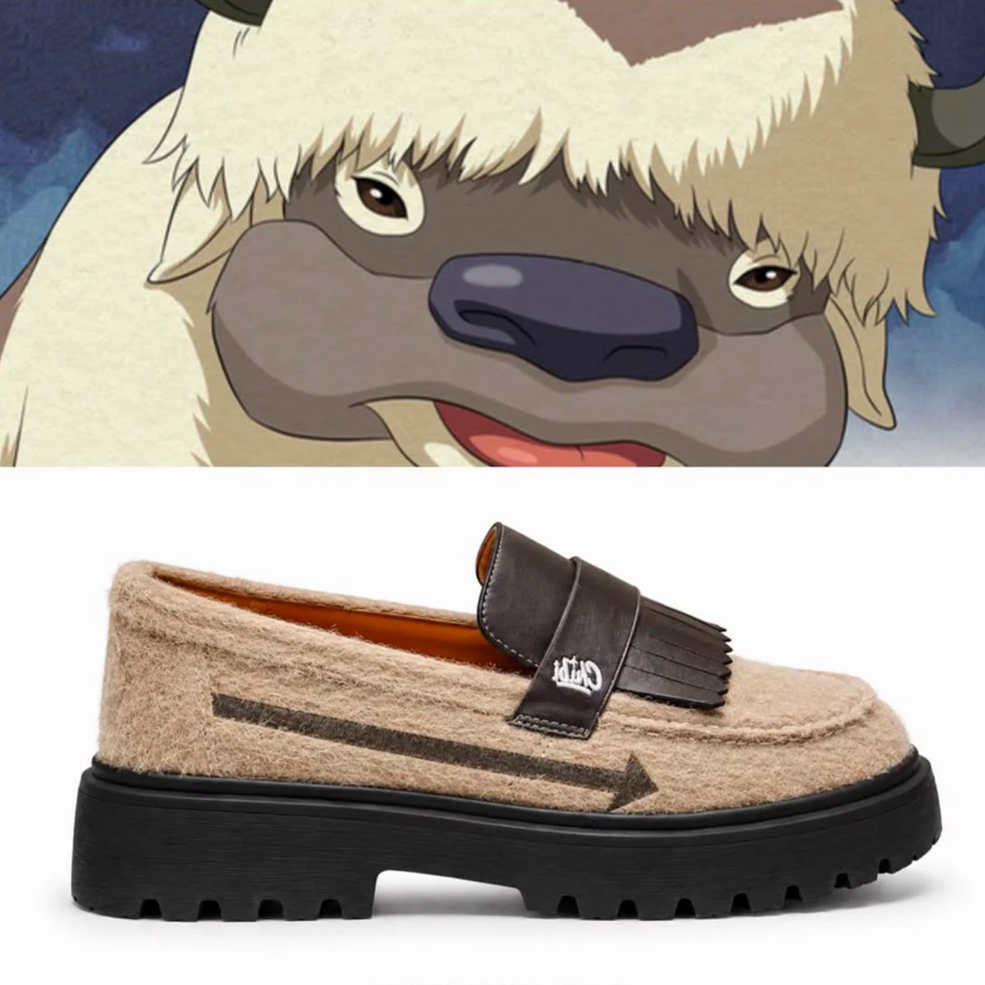 Avatar: The Last Airbender Animated Shoes