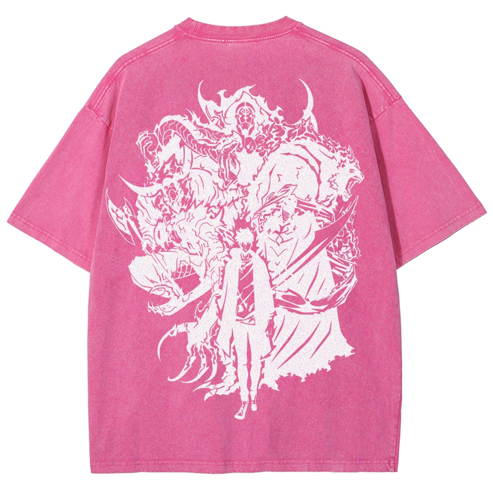 solo levelingUnisex Fit Washed T-Shirt 2502004720