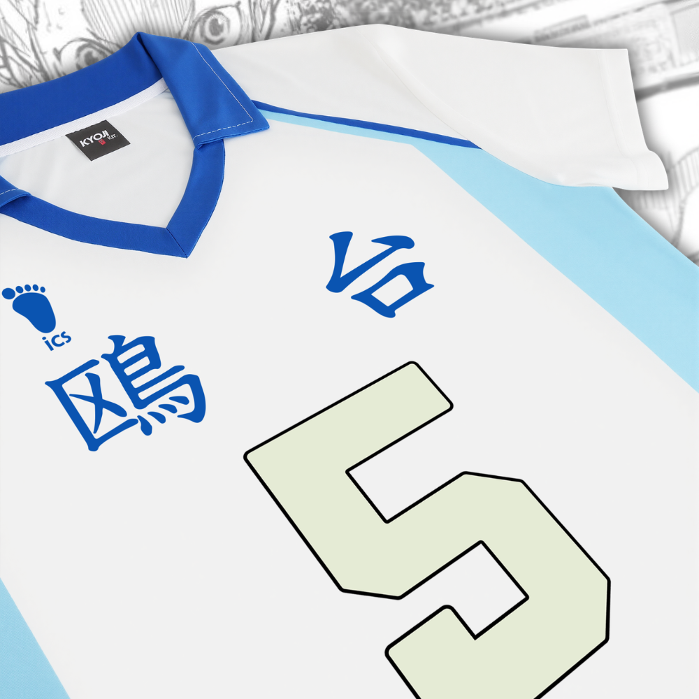 Volleyball Boy! Haikyuu jersey