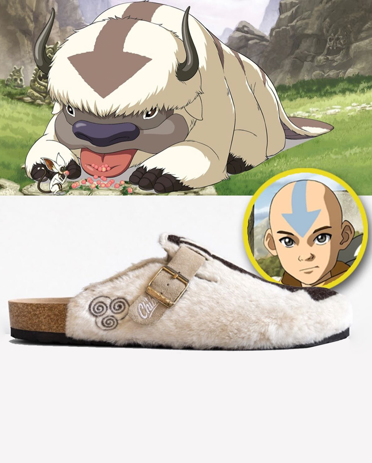 AVATAR THE LAST AIRBENDER Anime Boston Clog