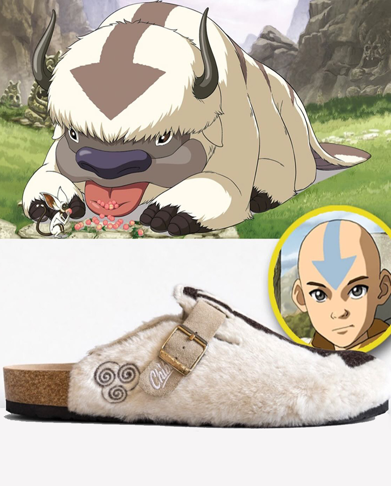 AVATAR THE LAST AIRBENDER Anime Boston Clog