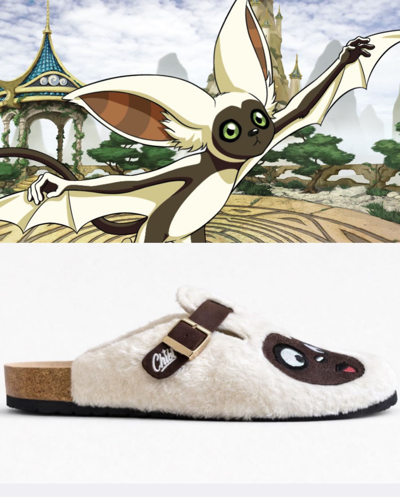 AVATAR THE LAST AIRBENDER Anime Boston Clog