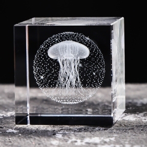 Crystal cube in-body carving ornaments