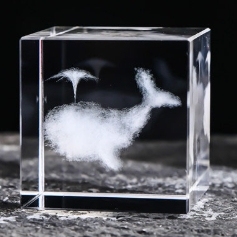 Crystal cube in-body carving ornaments