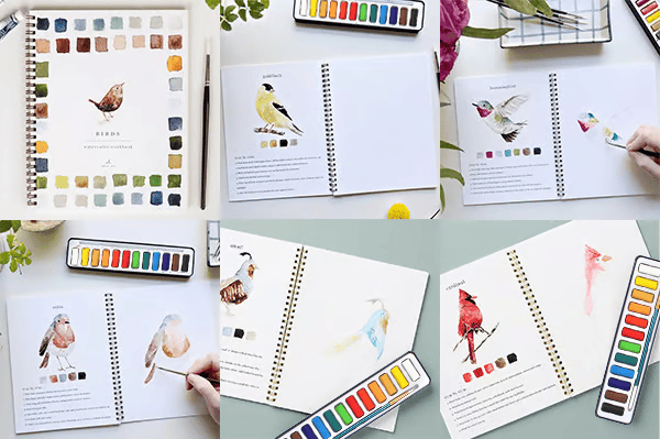 🖼️Beginner-Friendly💕 Watercolor Workbook