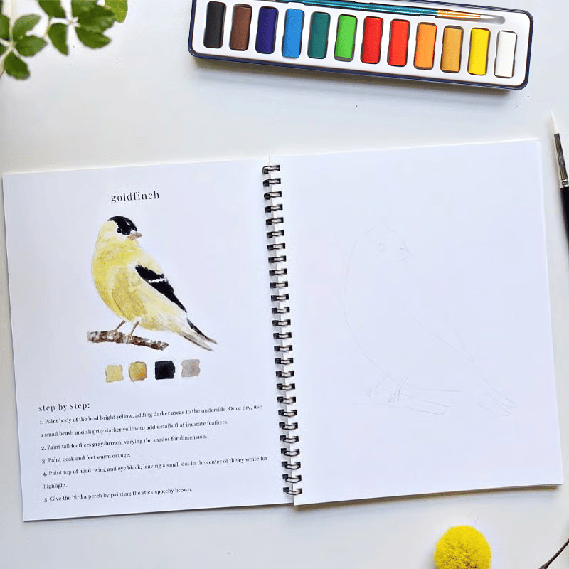 🖼️Beginner-Friendly💕 Watercolor Workbook