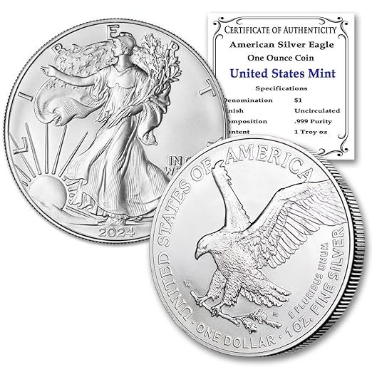 Cash On Delivery💥Just $2.99 Today American Eagle 2024 One Ounce Silver Proof Coin