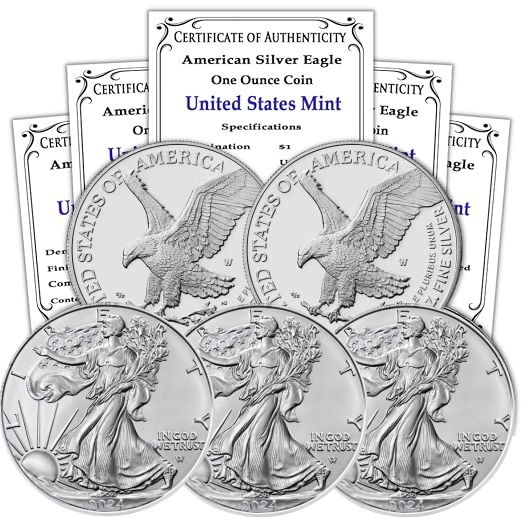 Cash On Delivery💥Just $2.99 Today American Eagle 2024 One Ounce Silver Proof Coin