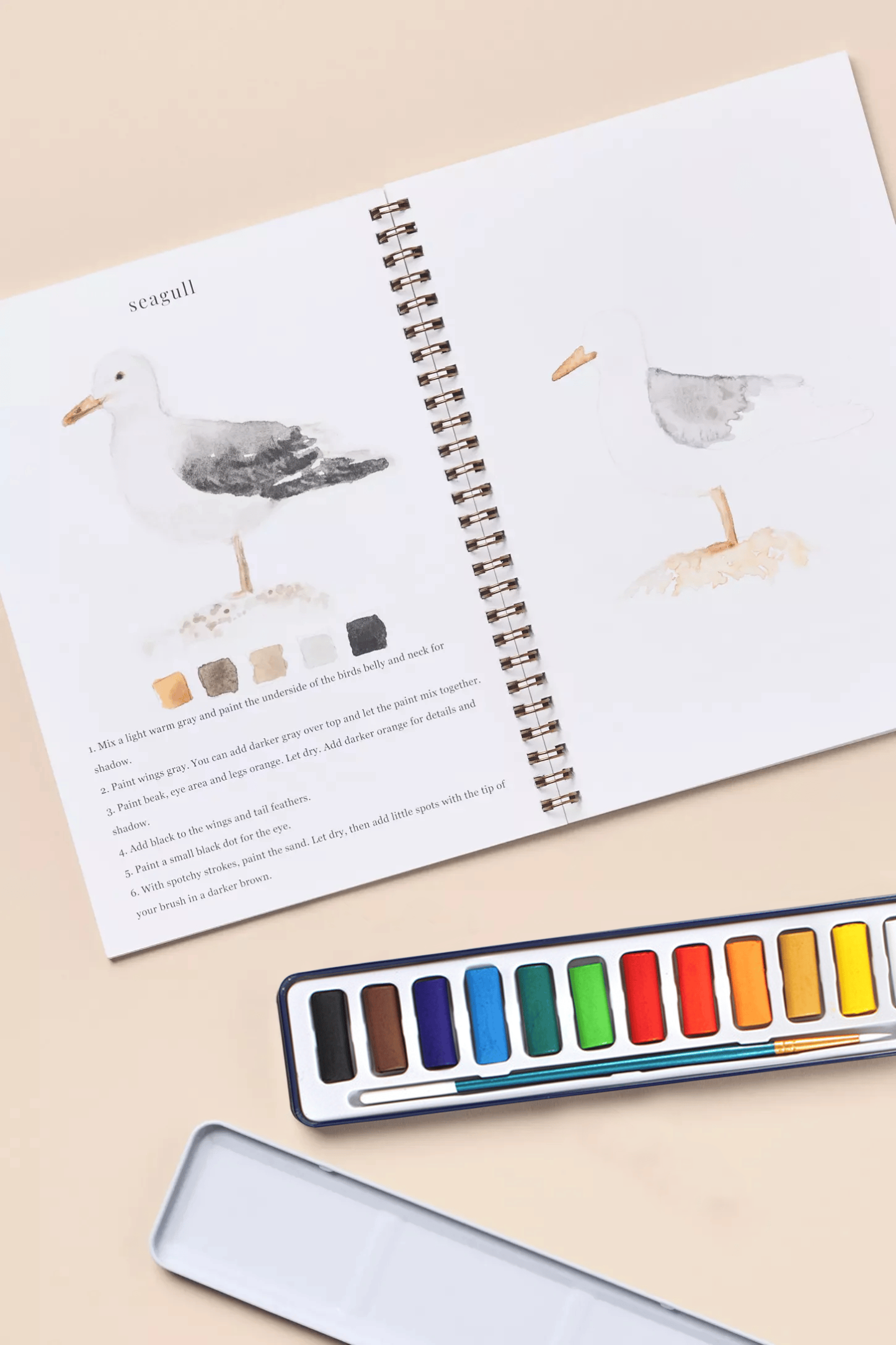🖼️Beginner-Friendly💕 Watercolor Workbook