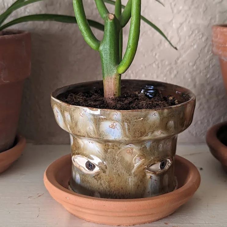 🌷 This Week Special OFF - 49% OFF 😍 Picasso Brutalist Abstract Crying Flower Pot