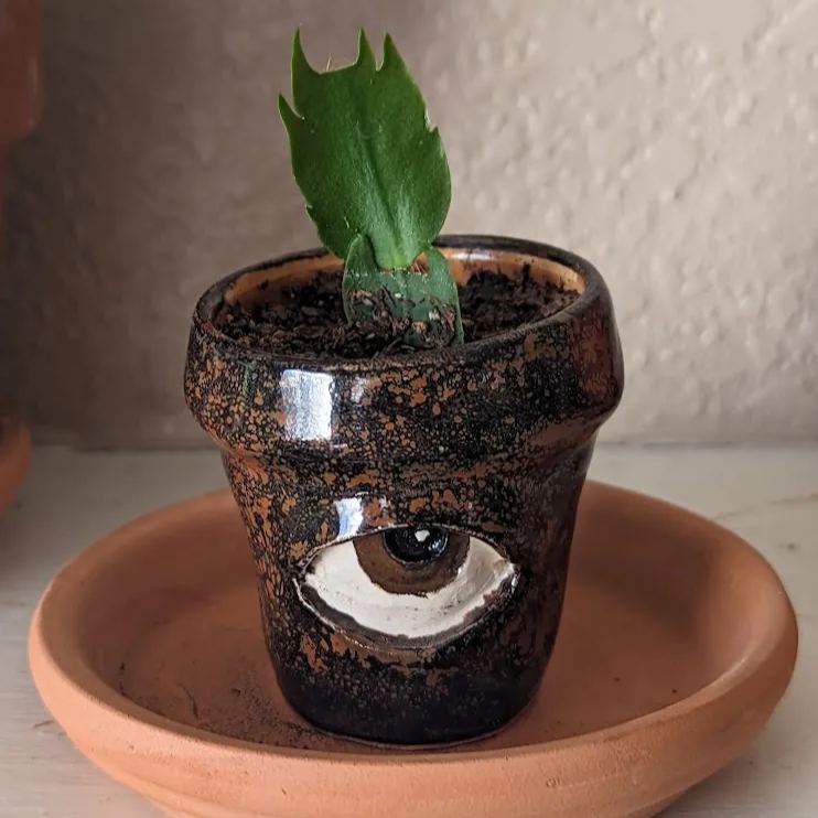🌷 This Week Special OFF - 49% OFF 😍 Picasso Brutalist Abstract Crying Flower Pot